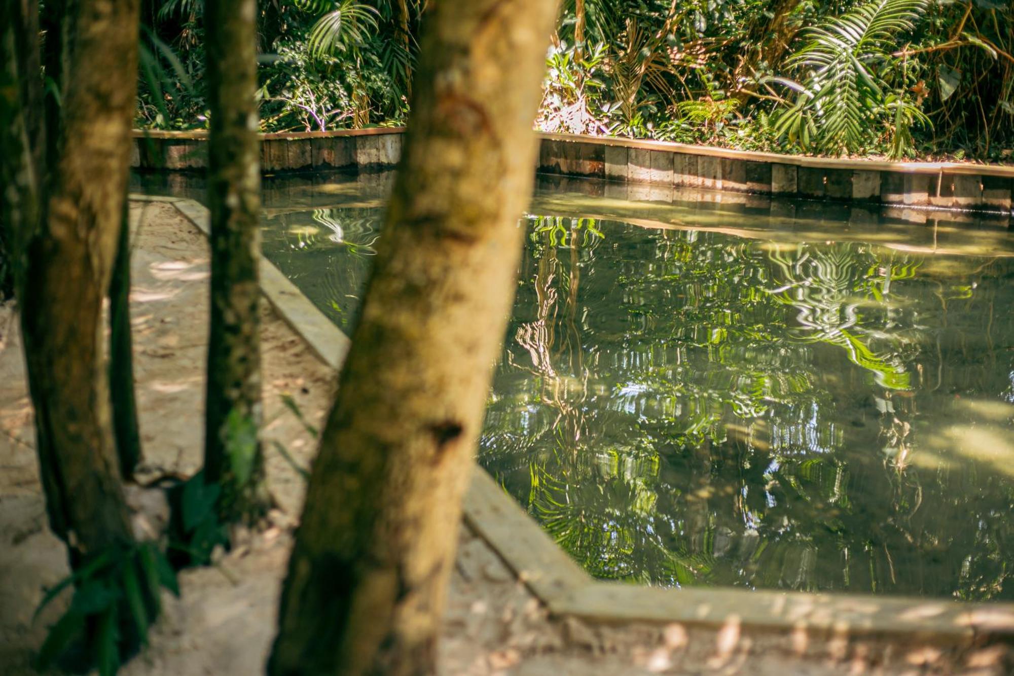 Pousada E Restaurante Amazonia 阿尔特杜尚 外观 照片